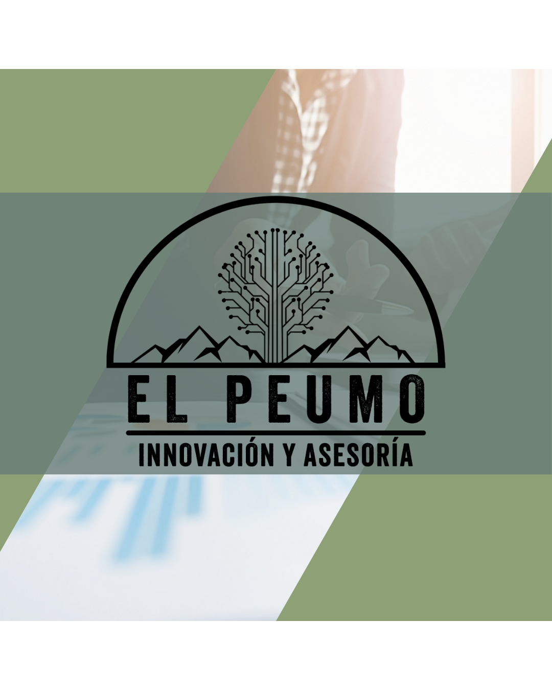 el-peumo-landingpage-001 el-peumo-landingpage-001